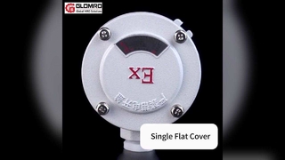 GLO-AH Boîte de jonction antidéflagrante