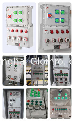 Explosion-Proof Electrical Distribution Box for Power Control and Lighting