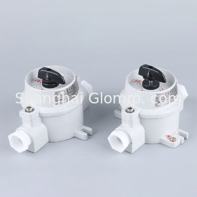 Industrial Explosion-Proof Lighting Switch Single & Double Anti-Corrosion Wall Switch 10A 16A wall electric switches