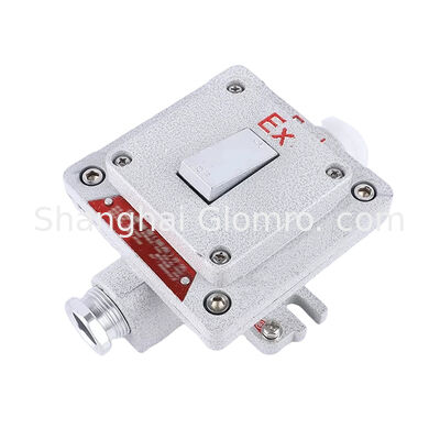 Flameproof Type Explosion-proof Wall Switch Surface-mounted Explosion-proof, Dust-proof and Water-resistant