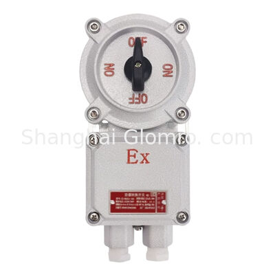 Explosion Protected Rotary Change Switch 16A Ex Iic T6 IP66 Dust Water Resistant Controller for Oil Refinery Explosive Gas Area
