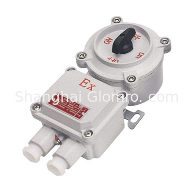 Explosion Protected Rotary Change Switch 16A Ex Iic T6 IP66 Dust Water Resistant Controller for Oil Refinery Explosive Gas Area
