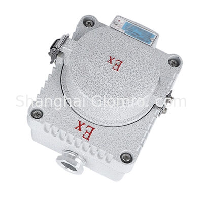 IP66 Explosion Proof Wall Socket Die Cast Aluminum 5 Holes 10A AC220V Flameproof Power Socket For Oil Chemical Hazardous Zone