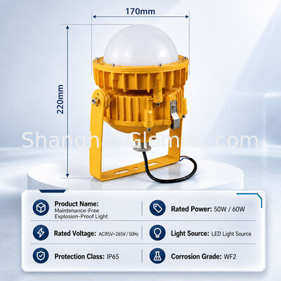 LED Maintenance-free Explosion-proof 60W Floodlight with Microwave Sensing-Emergency Lighting for Petrochemical Platforms