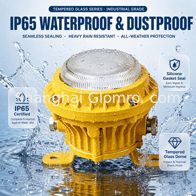 Heat Resistant 5W Maintenance-free Explosion-proof Lamp Tempered Glass Lens IP65 High Temperature Area Lighting