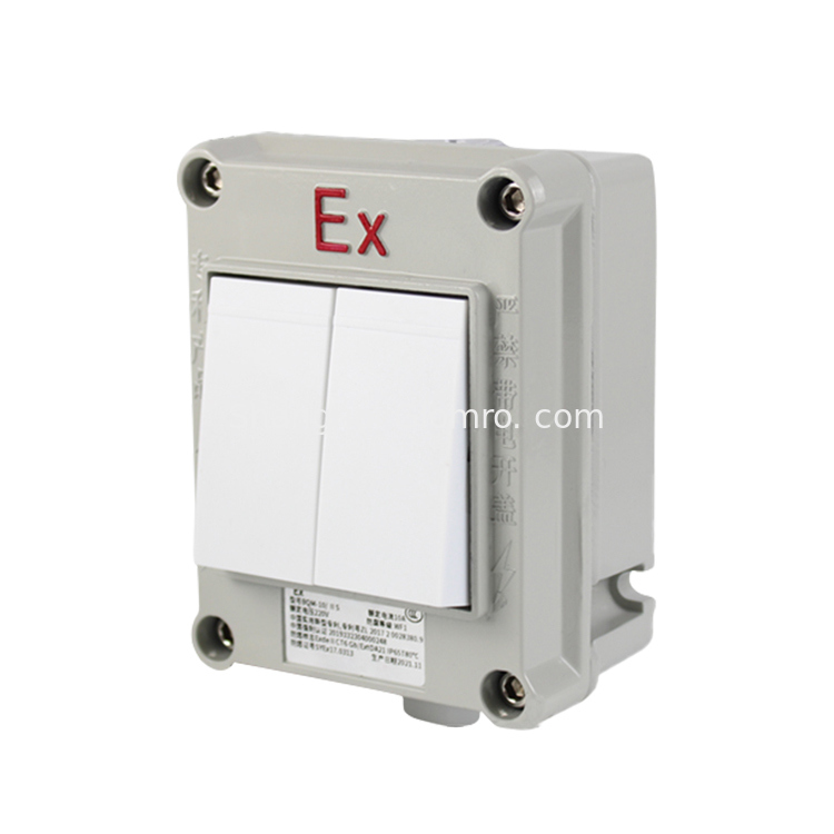 IP66 SW-10 Hazardous Location Water Proof On-off Light Switch Explosion Proof Switch