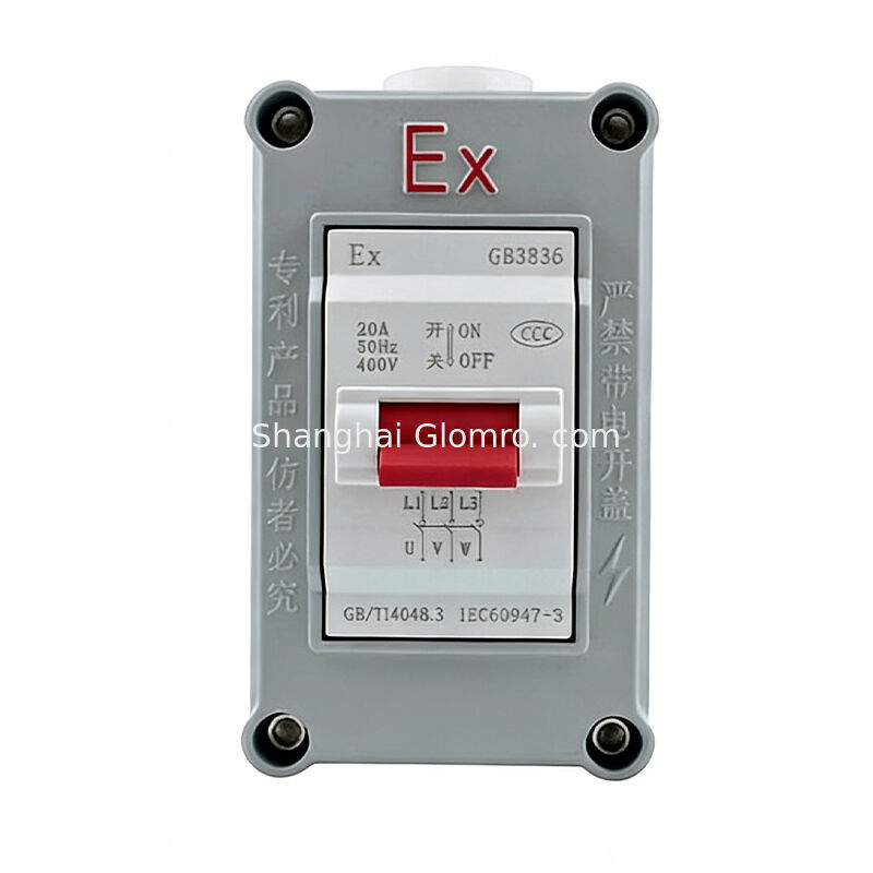 One switch Explosion-Proof Air Switch 20A Exde IIC T6 IP65 Push-Pull Operation