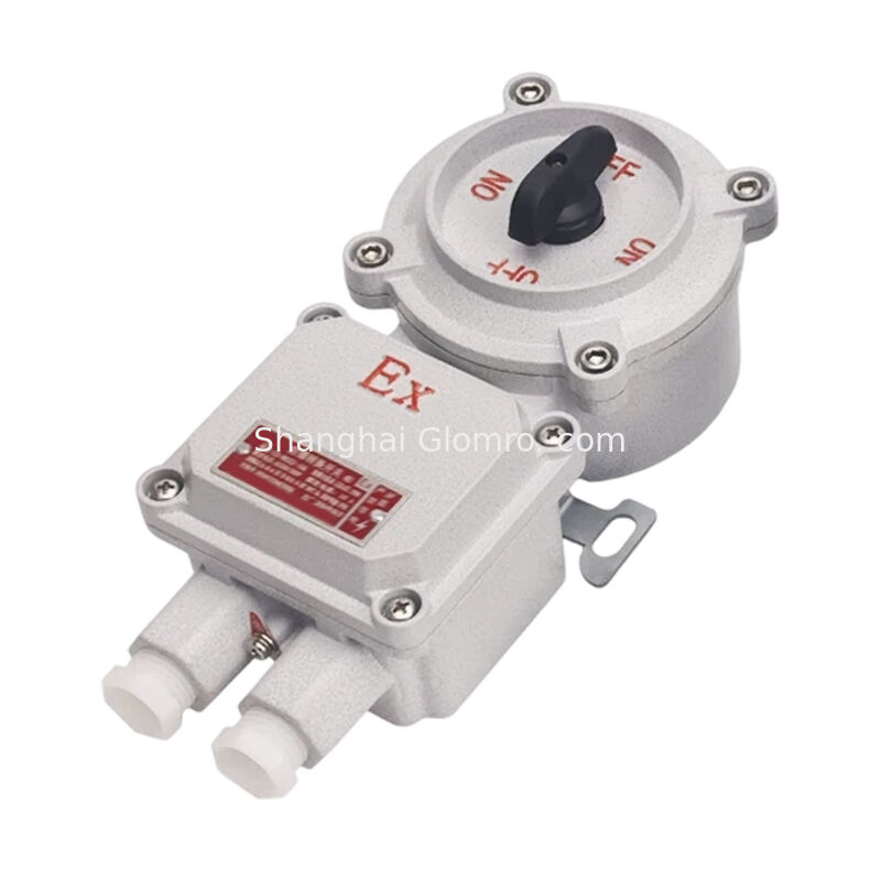 Explosion Protected Rotary Change Switch 16A Ex Iic T6 IP66 Dust Water Resistant Controller for Oil Refinery Explosive Gas Area
