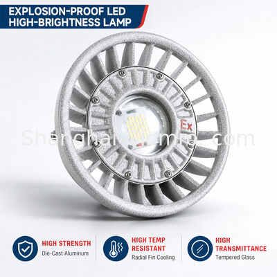 Lumière à l'épreuve de l'explosion LED 20W/30W/40W/50W/60W/70W/80W/100W/120W IP66 Illumination de l'emplacement dangereux en aluminium coulé sous pression Options de puissance multiples