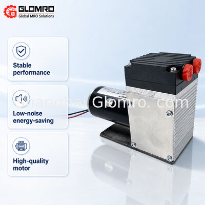 BAXIT PM33387-96 Pompe d'échantillonnage de gaz résistante à la corrosion DC24V Micro pompe à membrane pour CEMS COV échantillonnage de gaz de combustion